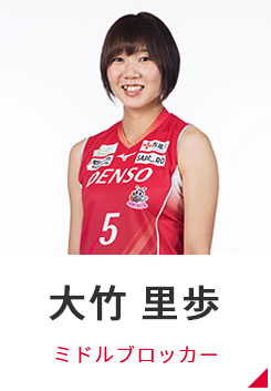 選手 デンソーエアリービーズ バレーボール Vリーグ 女子