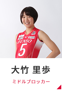 選手 デンソーエアリービーズ バレーボール Vリーグ 女子